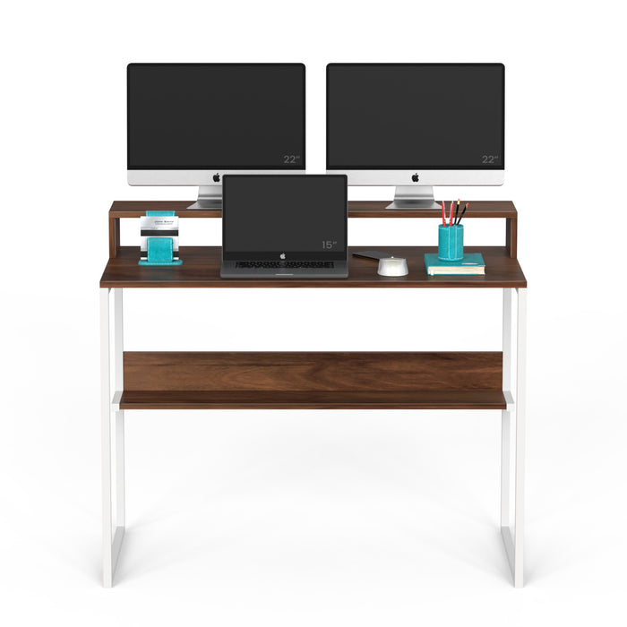 Corbyn Plus Study and Computer Laptop Table with Monitor Stand for Home or Office, WFH Desk, with Shelves Storage for Books and Décor Display, DIY(Do It Yourself)