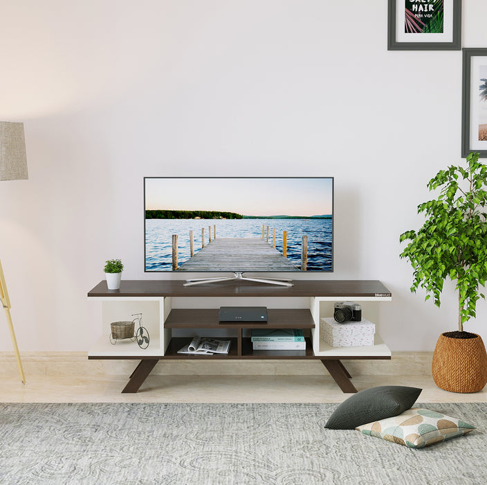 Anatdol TV Unit