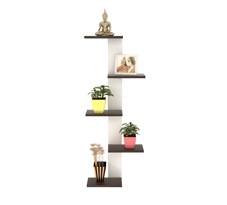 Bluewud Alaire Engineered Wood Lifestyle Wall Shelf / Display Rack (Frosty & Wenge)