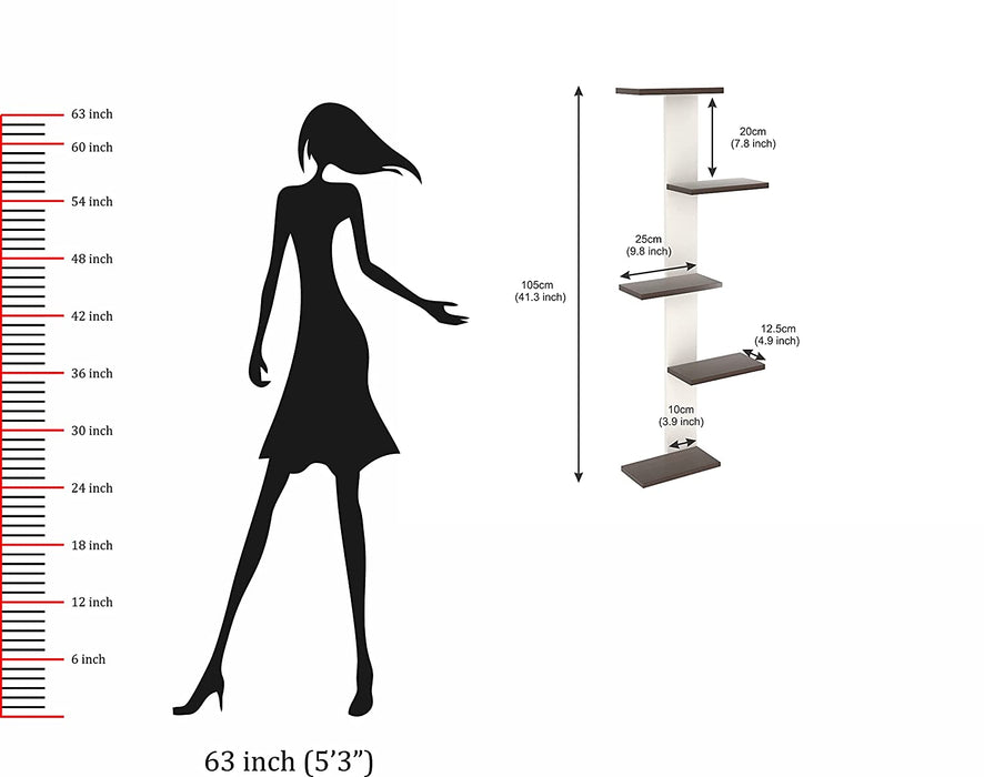 Bluewud Alaire Engineered Wood Lifestyle Wall Shelf / Display Rack (Frosty & Wenge)