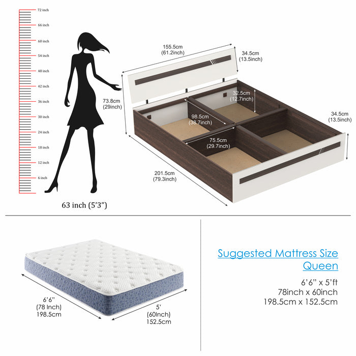 Pollo Queen Size Double Bed (With Storage)