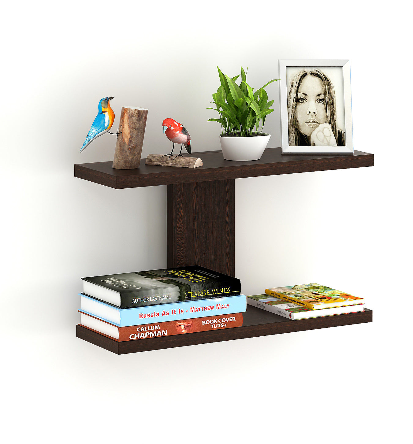 Corner Shelves