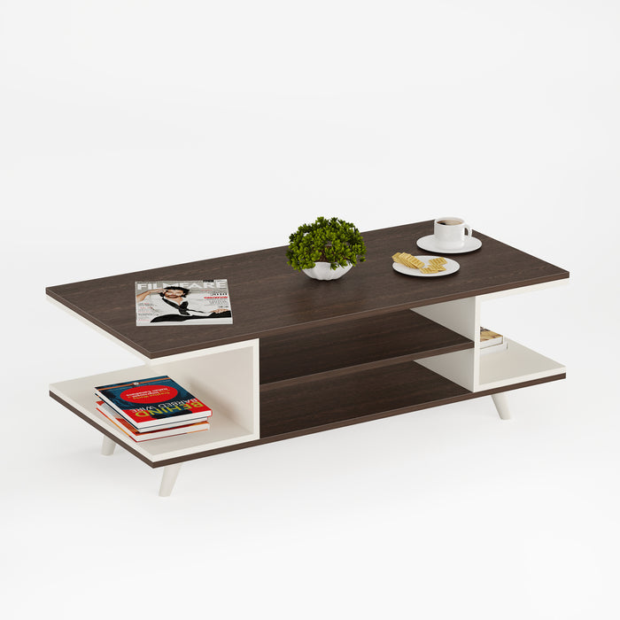 Anatdol Coffee table (Large)