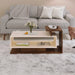 Declove Coffee Table/Centre Table |Maple