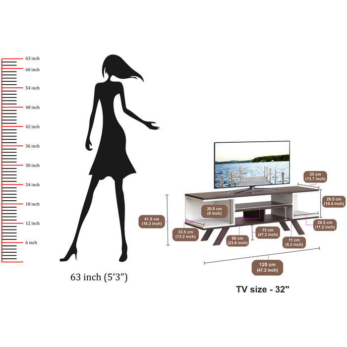 Anatdol TV Unit