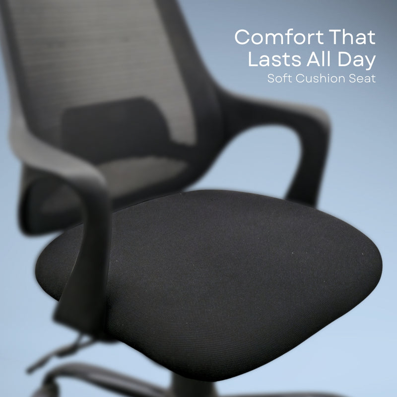 Zylo office study chair for home and study (Black)