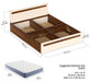 Maltein Queen Size Bed |Brown Maple & Beige