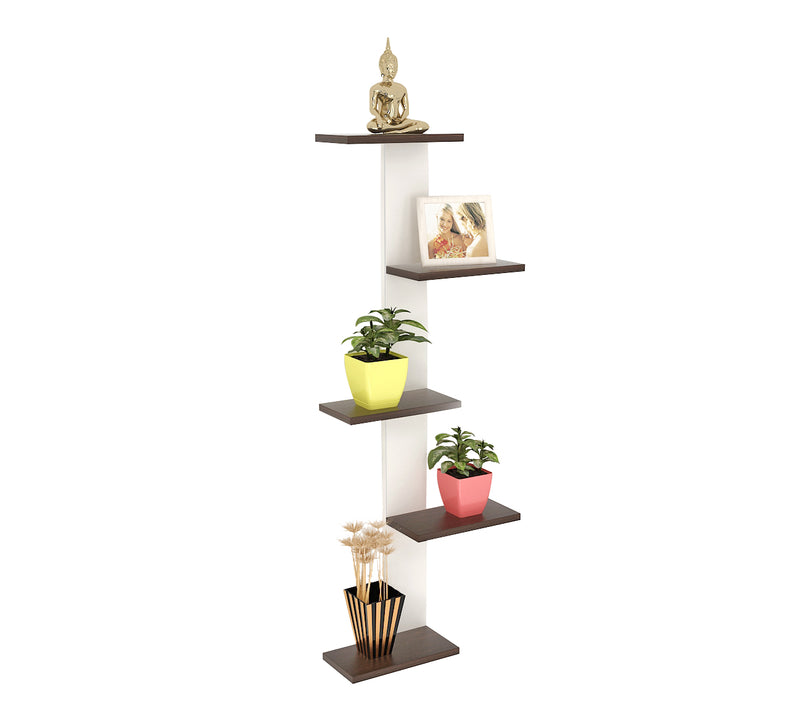 Bluewud Alaire Engineered Wood Lifestyle Wall Shelf / Display Rack (Frosty & Wenge) 