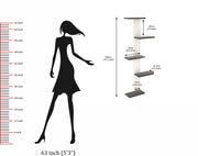 Bluewud Alaire Engineered Wood Lifestyle Wall Shelf / Display Rack (Frosty & Wenge) 
