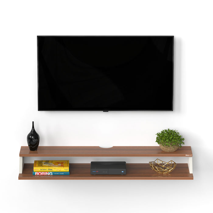 Maisy Set-top Box Large |Walnut & Frosty