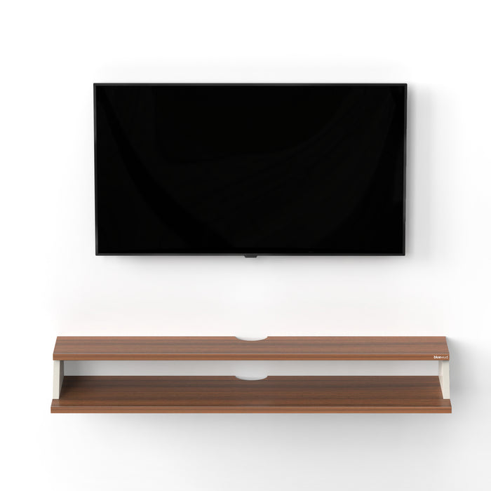 Maisy Set-top Box Large |Walnut & Frosty