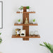 Phelix Wall Shelf & Display Rack (Large) |Walnut