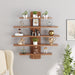 Caselle Display Shelf (5 Shelves) |Walnut