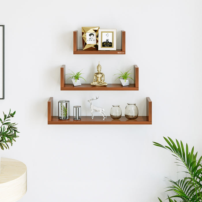 Caesar Display Shelf |Walnut