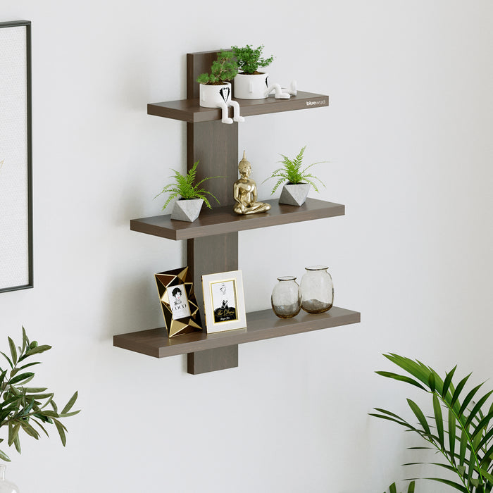 Phelix Wall Shelf & Display Rack (Large) |Wenge