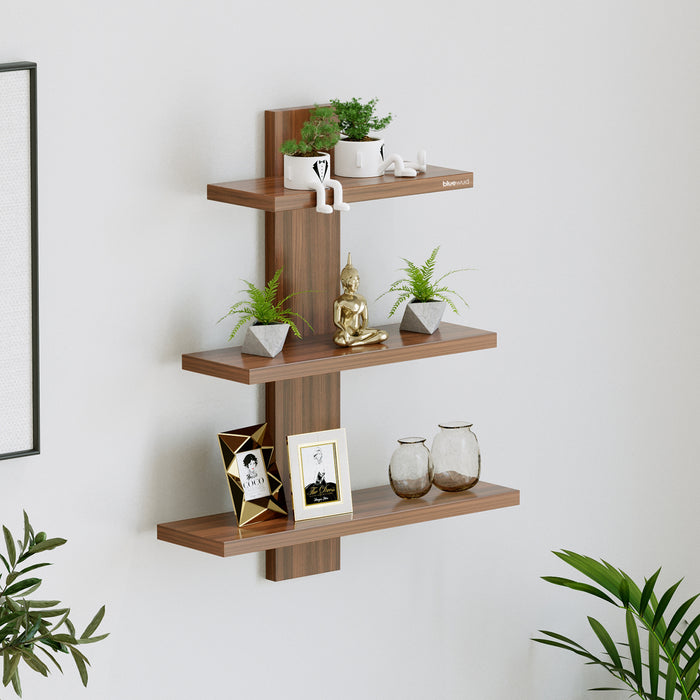 Phelix Wall Shelf & Display Rack (Large) |Walnut