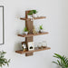 Phelix Wall Shelf & Display Rack (Large) |Walnut