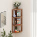 Bluewud Alba Floor Standing Corner Shelf  |Walnut