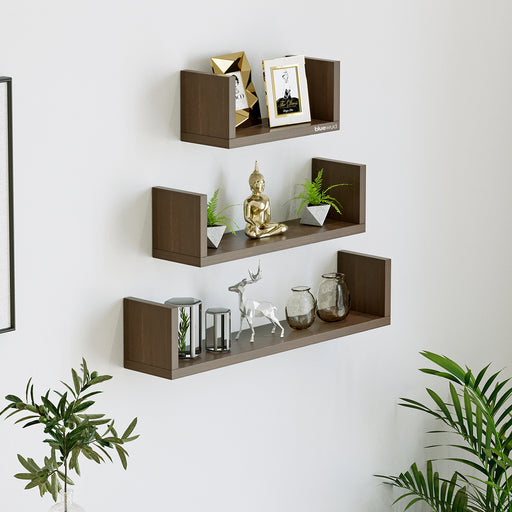 Caesar Display Shelf |Wenge