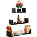 Caesar Display Shelf |Wenge