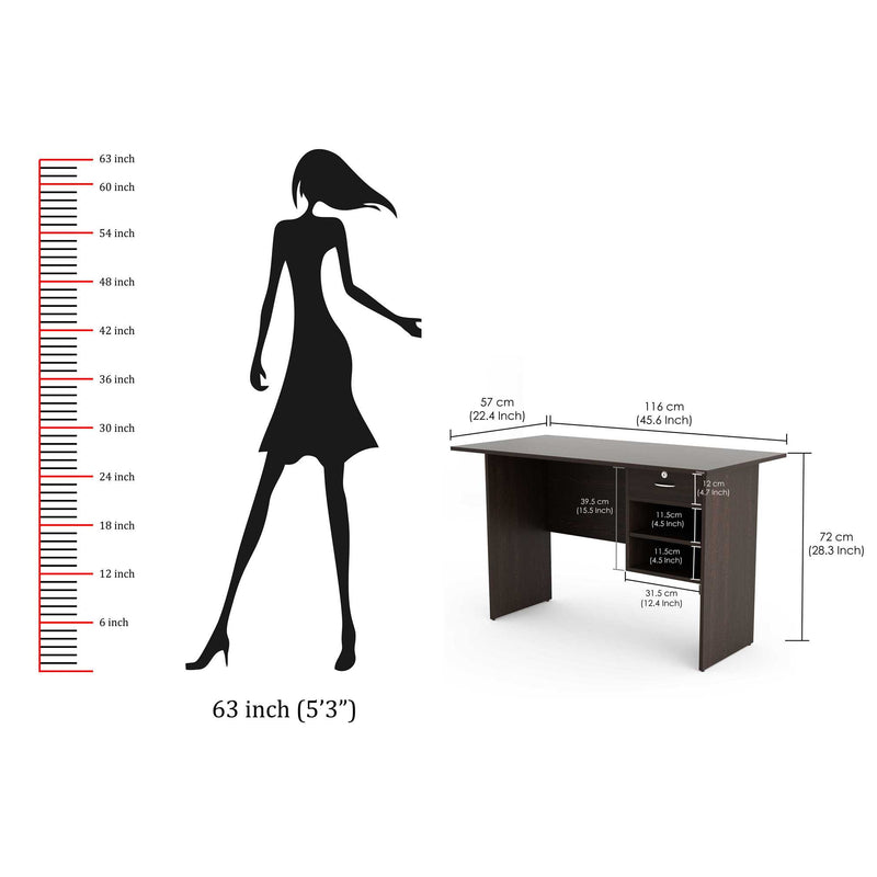 Bluewud Amalet Study Table Desk for Home & Office (Wenge)