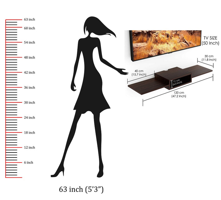 Aero TV Unit |For Upto 50"