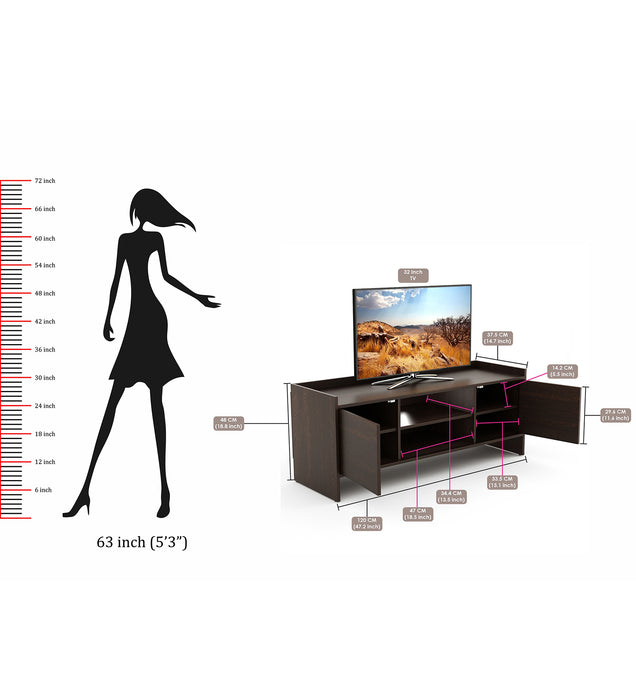 Charley TV Unit