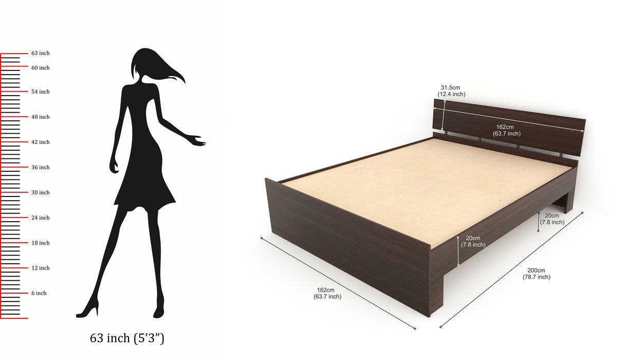 Pollo Queen Size  Double Bed