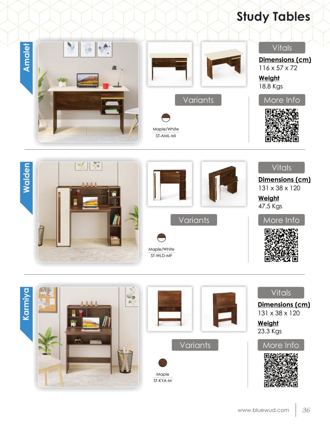 Product Brochure — page 38